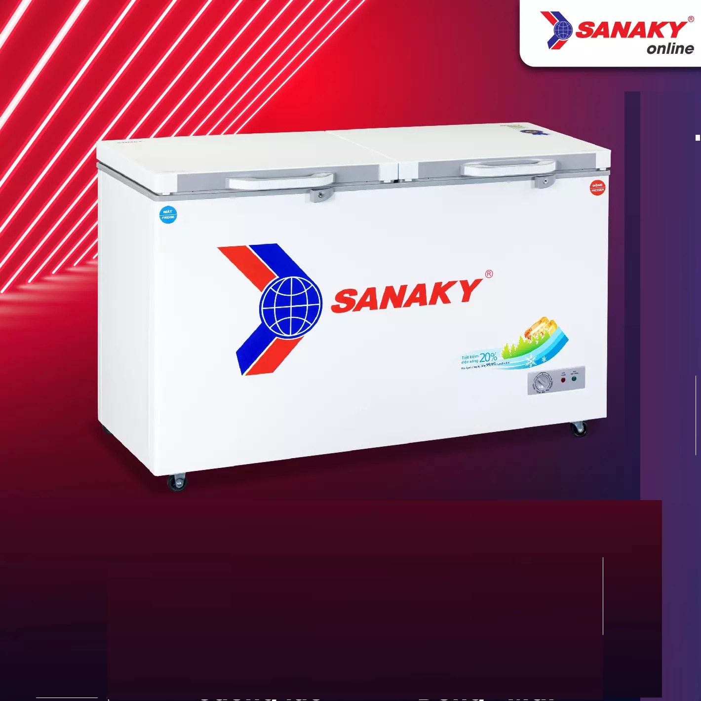 Tủ Đông Sanaky VH-5699W2K 365 lít