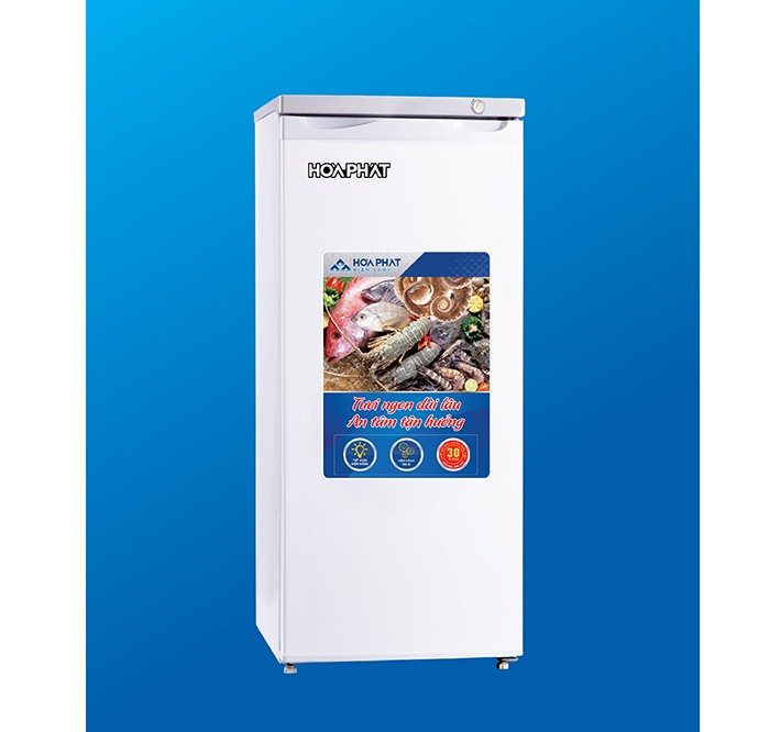 Tủ đông đứng Hòa Phát HPF UAH6147 (147L)